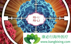 PD-1����Ч��ͻ�为�ɺ�PD-L1����ˮƽ�й�