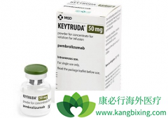 Ĭɳ�������ذ�PD-1���Ƽ�Keytrudaһ�����Ʒΰ�Ч��