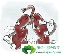 ���ڷ�Сϸ���ΰ������ӳ�����Ԥ���