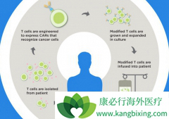 ����FDA������ŵ��CAR-Tϸ�����Ʒ���KYMRIAH����Ӧ֢