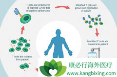 CAR-Tϸ�����Ʒ����򽫽��뵽2.0ʱ��