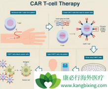 CAR-T�Ʒ�Kymriah���������ܰ���