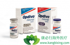 �ΰ�����һ������ѡ��PD-1���Ƽ�Ч�����ڻ���