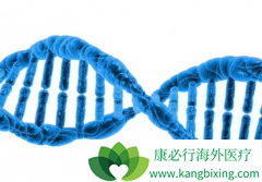 CAR-T�Ʒ���Ϊ�����ܰ������ߴ����������