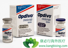 Ŀǰ��������PD-1���Ƽ����й��ύ����������