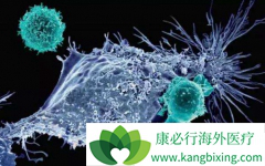 ŵ��CAR-T�Ʒ����������ƴ�Bϸ���ܰ���