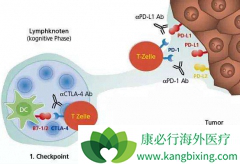 ����ʹ��PD-1ҩƷΪʲô�������ҩ?