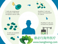 Kymriah��ȫ���һ�������׼��CAR-Tϸ�����Ʒ���