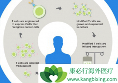 ҵ�ڹ��ƹ��ڵ��׿�CAR-Tϸ�����Ʒ�������2020������