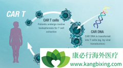 ŵ��CAR-Tϸ���Ʒ�KYMRIAH�ڶ�����Ӧ֢���FDA��׼