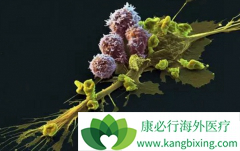 Kymriah���ٴ���׼��ŵ��CAR-T������ϣ��