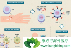 CAR-T�Ʒ��ҵ��˹ؼ���ϸ����Ⱥ���ź�