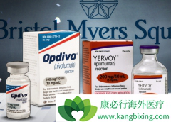 PD-1���Ƽ���CTLA-4���Ƽ��������ư�֢Ч�����