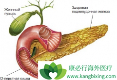 ���ǲ�˹��֢һ�������ٰ�֢״����Щ