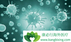 ����Tϸ����CAR-Tϸ��������Ч�Ե�Ǳ��Ӱ��