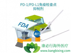 PD-1/PD-L1���Ƽ����۰�������ͬ��Ч���ܺ�