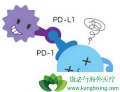 PD-1�Ʒ����������ϵͳ���Ϳ�������������