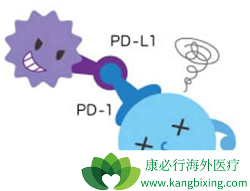 PD-1