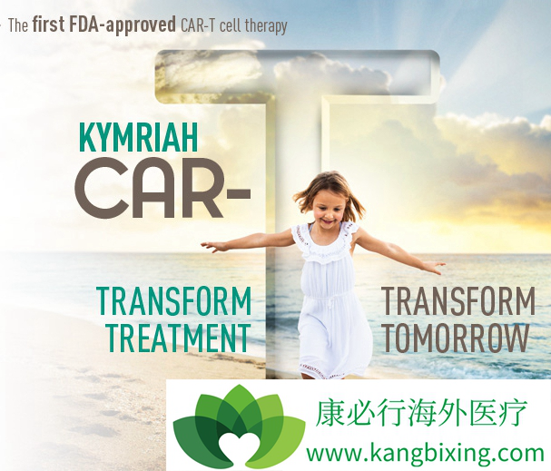 CAR-T