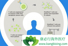 ĿǰCAR-Tϸ�����Ʒ����Ѿ���չ���˵�����