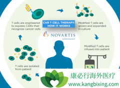 Ŀǰ�����Ѿ���CAR-Tϸ���Ʒ����뵽ҽ����Χ