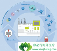 CAR-Tϸ�����Ʒ�����ȫ����Ƕ�Ͽ�ԭ����Tϸ�������Ʒ�