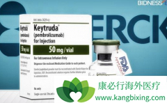 PD-1���Ƽ�Keytruda���������µķΰ���Ӧ֢