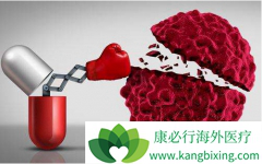 PD-1��ҩ����ٴλ�����ԭ���֢��ҩ