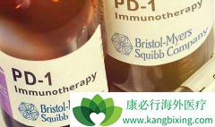 PD-1������ҩ��ɳ������Ϸ��ƺͻ�������