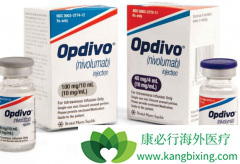 ����PD-L1����ˮƽ�����PD-1Ӧ���ʸ���