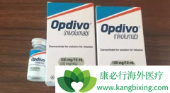 PD-1��������������ʱ��PD-L1�����޹�