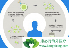 CAR-Tϸ�����Ʒ�������Ҫ����������ϸ�������ͷ��ۺ�֢