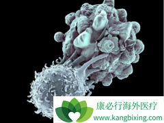 CAR-T��ʵ������ͻ������ն��ǧ����Ԫ�г�