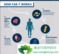 CAR-Tϸ�������ڰ�Ѫ�����ܰ�����������չ������Ч��