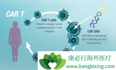 �й�CAR-Tϸ���Ʒ�Ŀǰ�Ѿ����뵽̽����