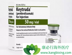 Keytruda��PD-1���Ʒΰ�����ȡ�úõĳɼ�