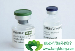 PD-1���Ƽ���Ŀǰ���ȵ����������Ʒ�֮һ