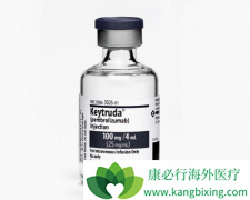 Ŀǰ�Ѿ����е�PD-1���Ƽ�ֻ��Opdivo��Keytruda