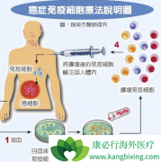 ������CAR-Tϸ�������Ʒ���չʮ��Ѹ��