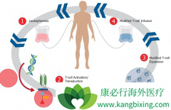 ĿǰCAR-Tϸ�����Ʒ�����ǿ������ѪҺ����