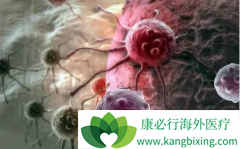 CAR-T�Ʒ��ڽ�ֱ����С��ʵ�����кܺõ�Ч��