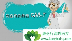 CAR-Tϸ���Ʒ����������ȫ��Ч��2.0ʱ��