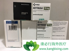 Ĭɳ��˳���ƽ�PD-1���Ƽ�Keytruda�ɷΰ�һ����ҩ