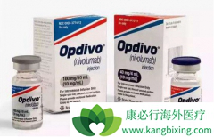 ר�ҷ�����PD-1���Ƽ����й���ʵ������