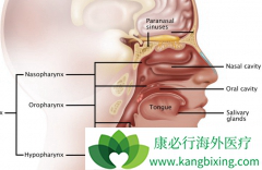 ��ʹ�Ծ����ܰͽ��״�Ҳ�������ڱ��ʰ�֢״