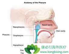 ������д�Ѫ�ǳ��������ڱ��ʰ�֢״