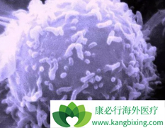 ���ư�֢Ӧ�������Ϊ����֤������������