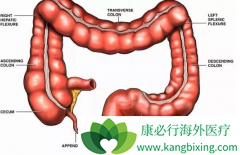 ���ڵĴ󳦰�֢״�����ױ��˺���