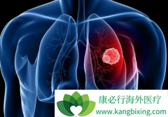 ��Сϸ���ΰ��������ѡ��ΰ������Ʒ���