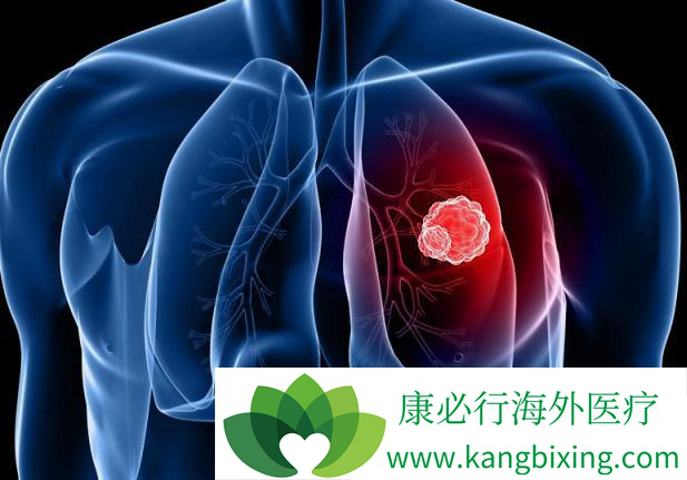 �ΰ������Ʒ���